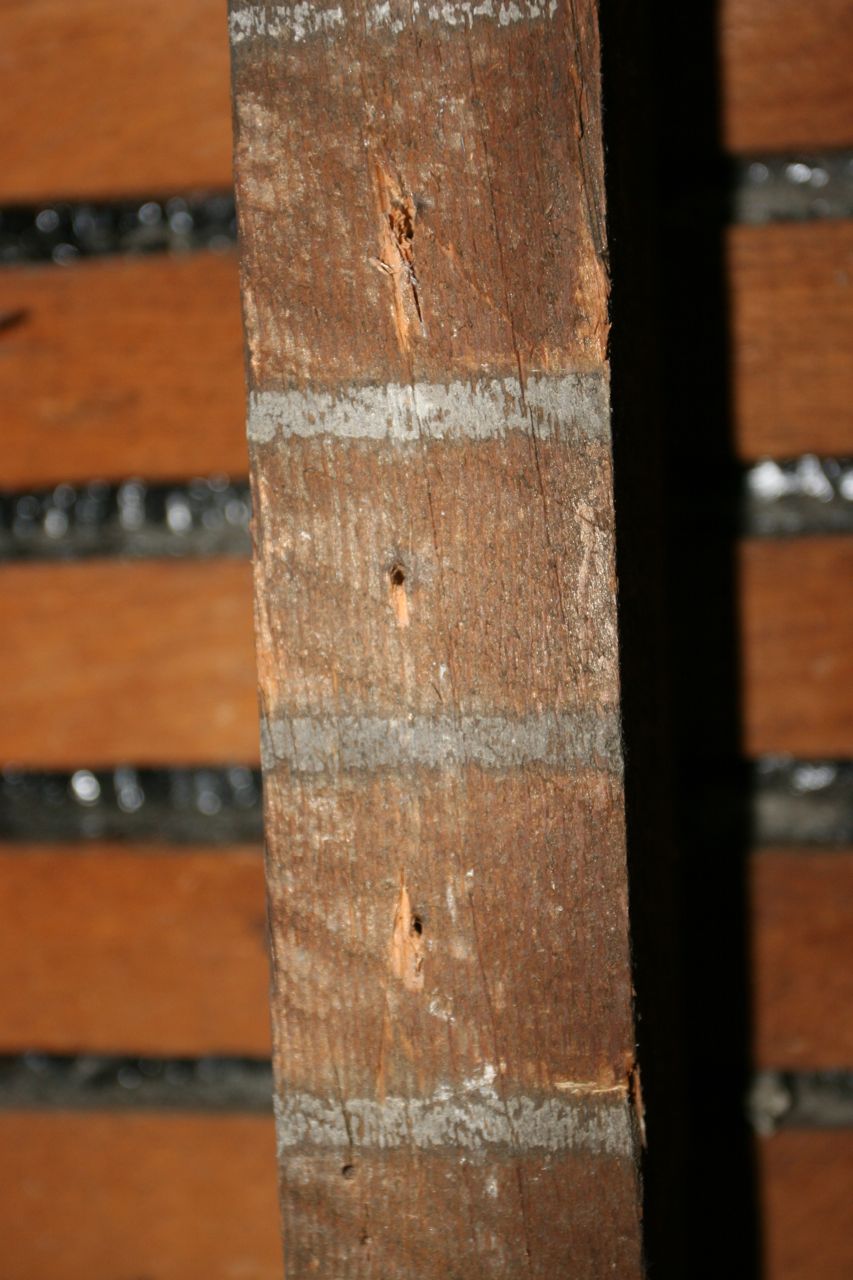 I like the stripes that the plaster left behind on the studs.
