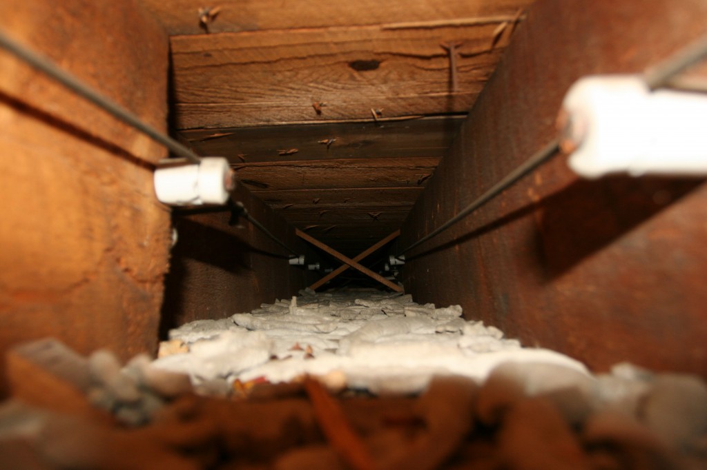 Knob and tube, a "trunk line" running between the joists from the kitchen to the dining room.