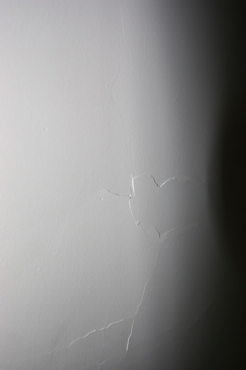 Bummer. More cracking plaster. It's just a closet wall, though.