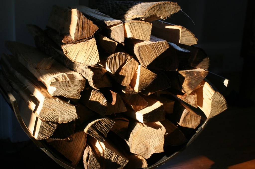 Beauty shot: firewood in the evening sun. I'll look at this again in January and remember jealously how hot we were today.