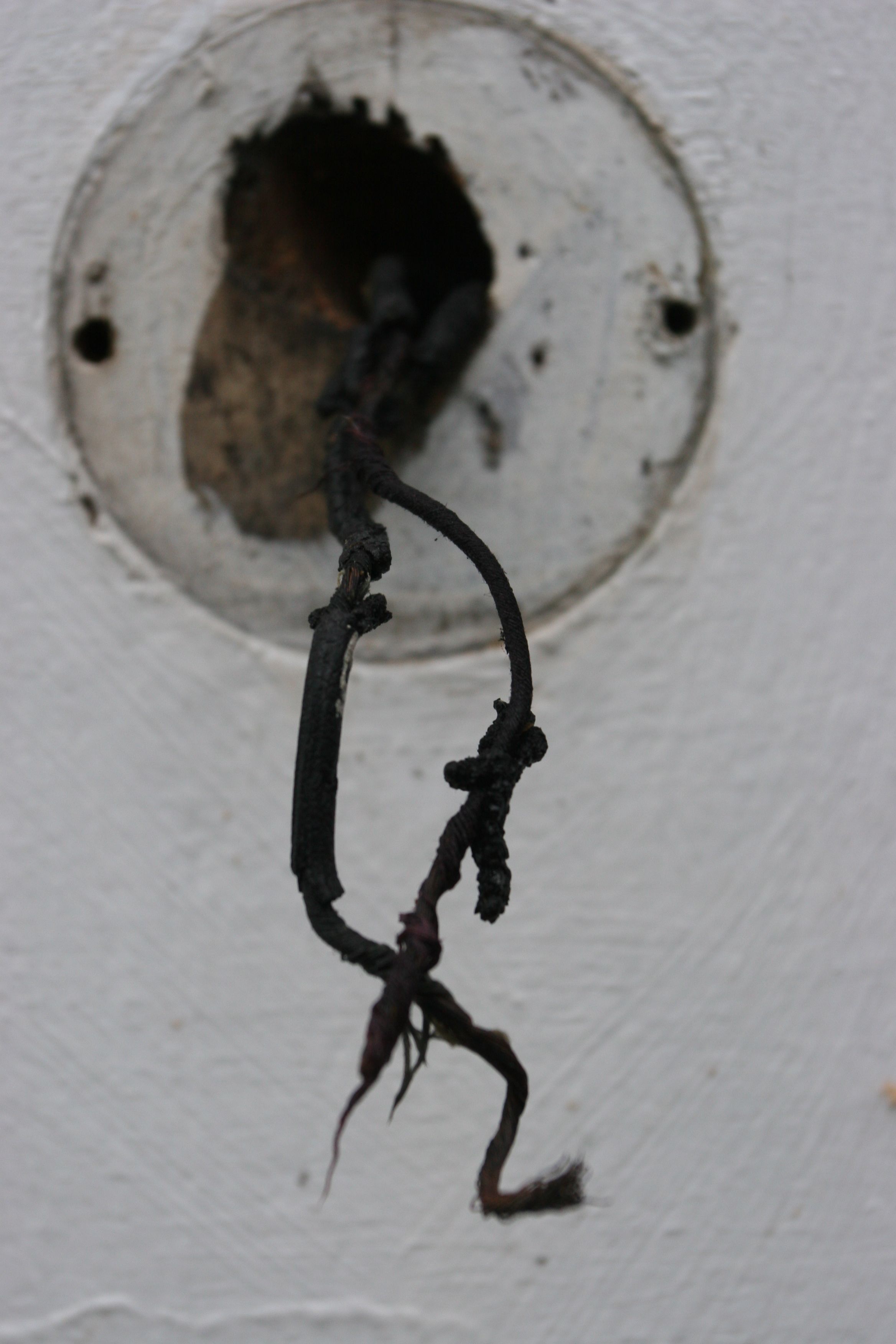 Crusty old doorbell wires. So scary and pretty at the same time.