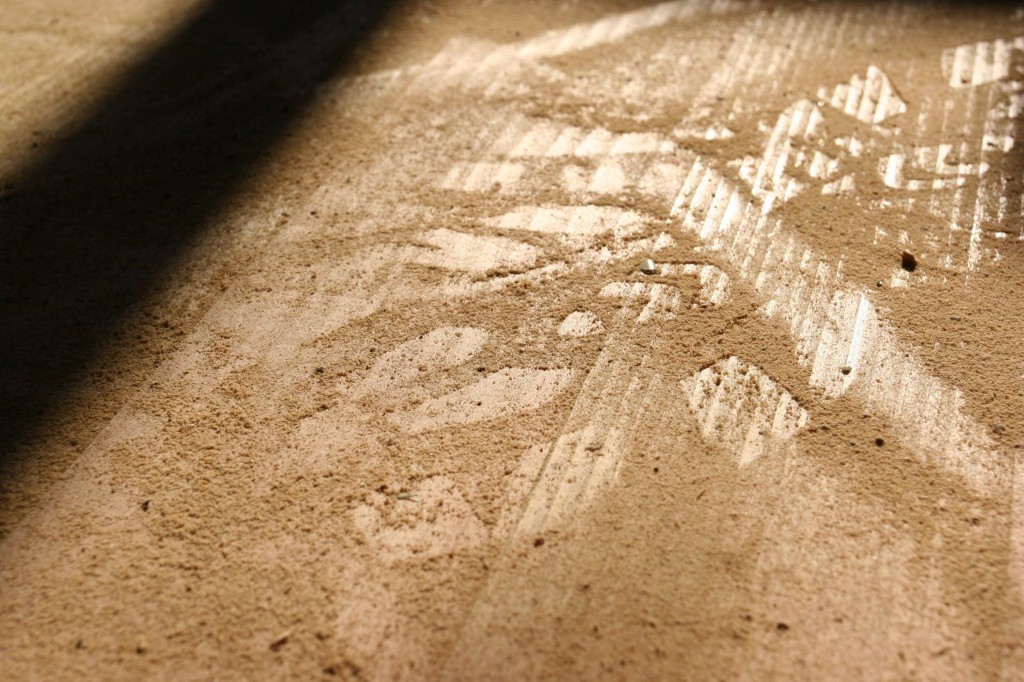 Shoe print in the sawdust.