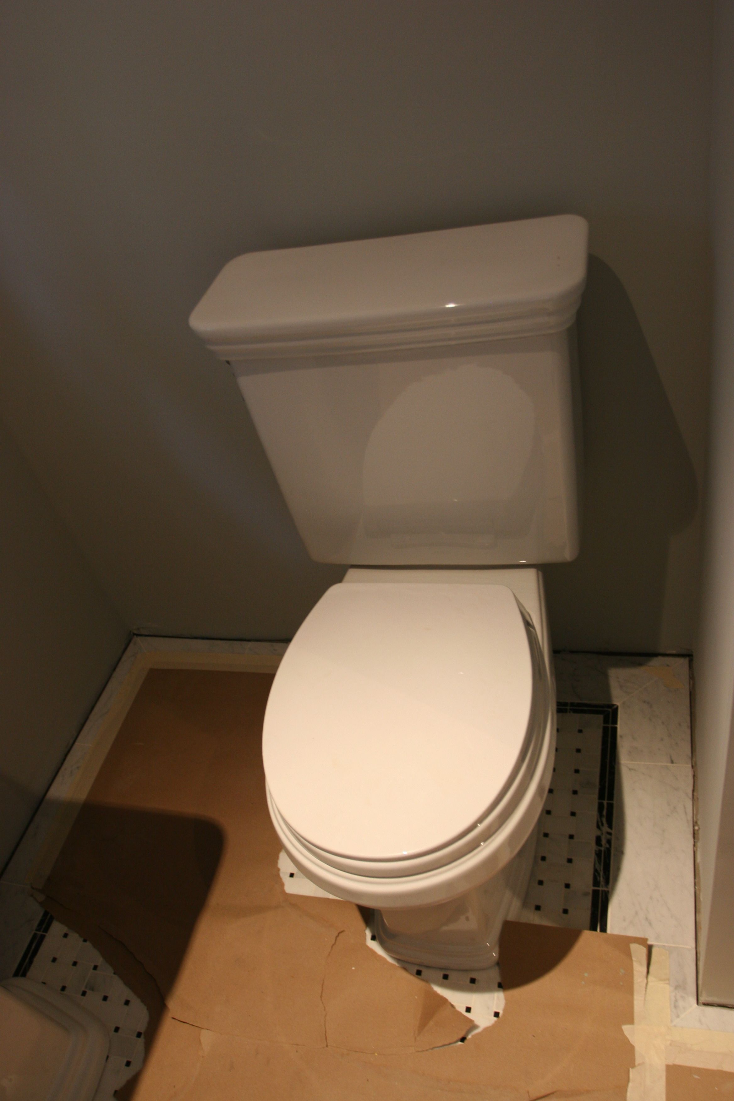 Powder room toilet! And it works, too! (Nice work, Matt!)