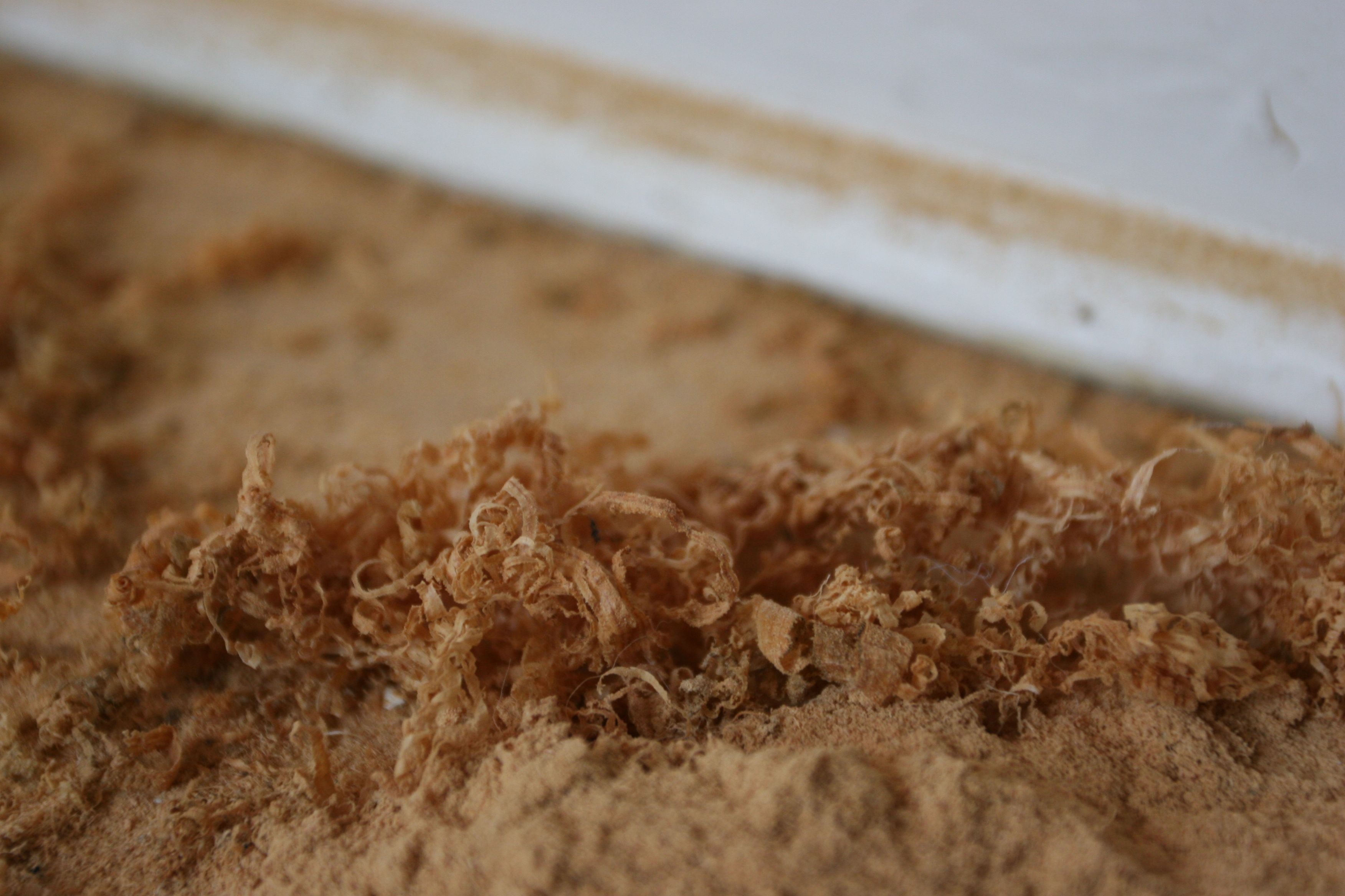 Some shavings from where Frank (and later Eric) was hand scraping the staircase bits.