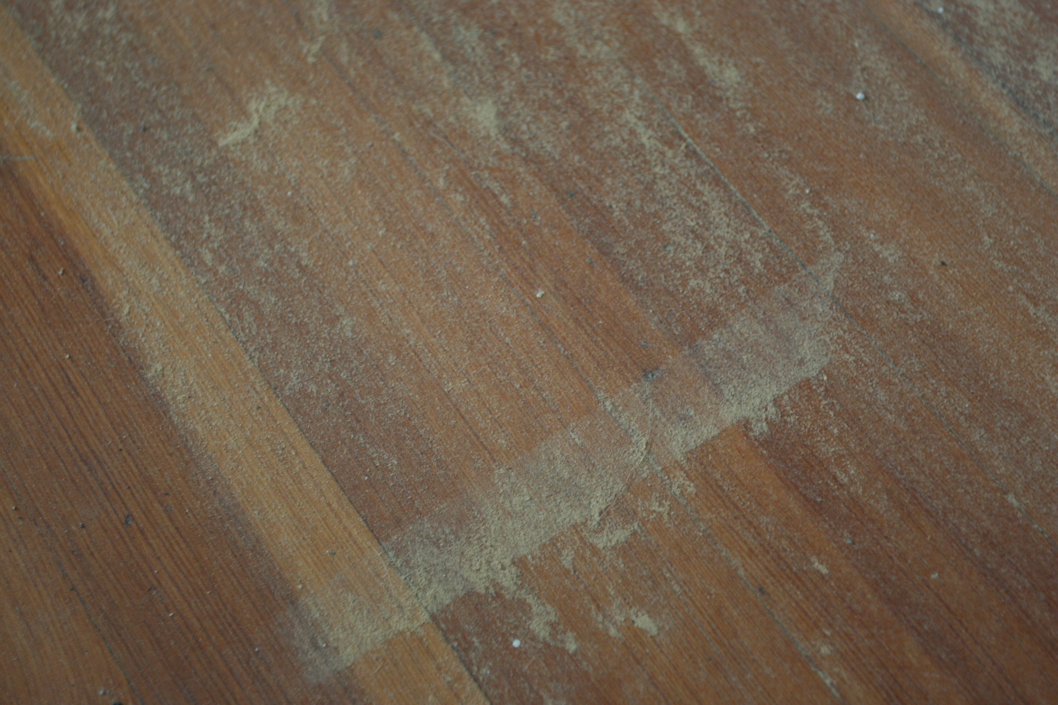 This was what the floors looked like in the one room where we put everything we DIDN'T want to get dusty. Stupid dust particles and their ability to get everywhere.