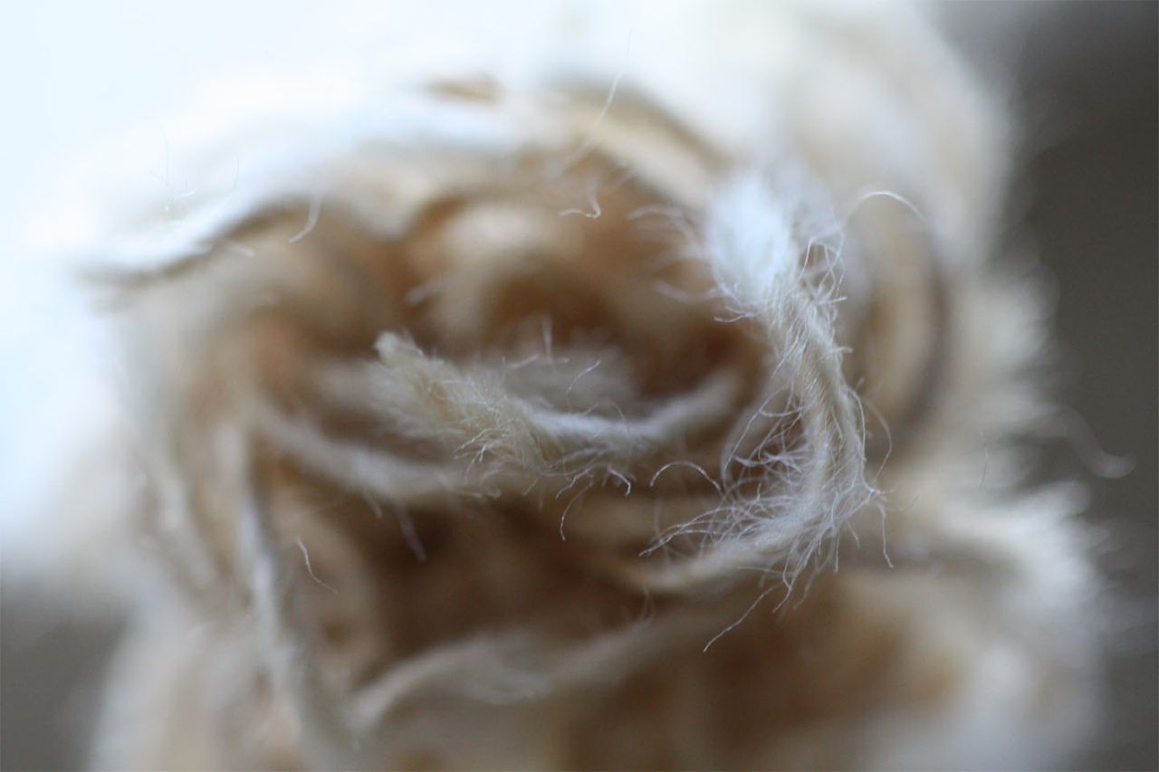 A frayed knot. Ok, really, a snapped window sash rope. Too gorgeous.