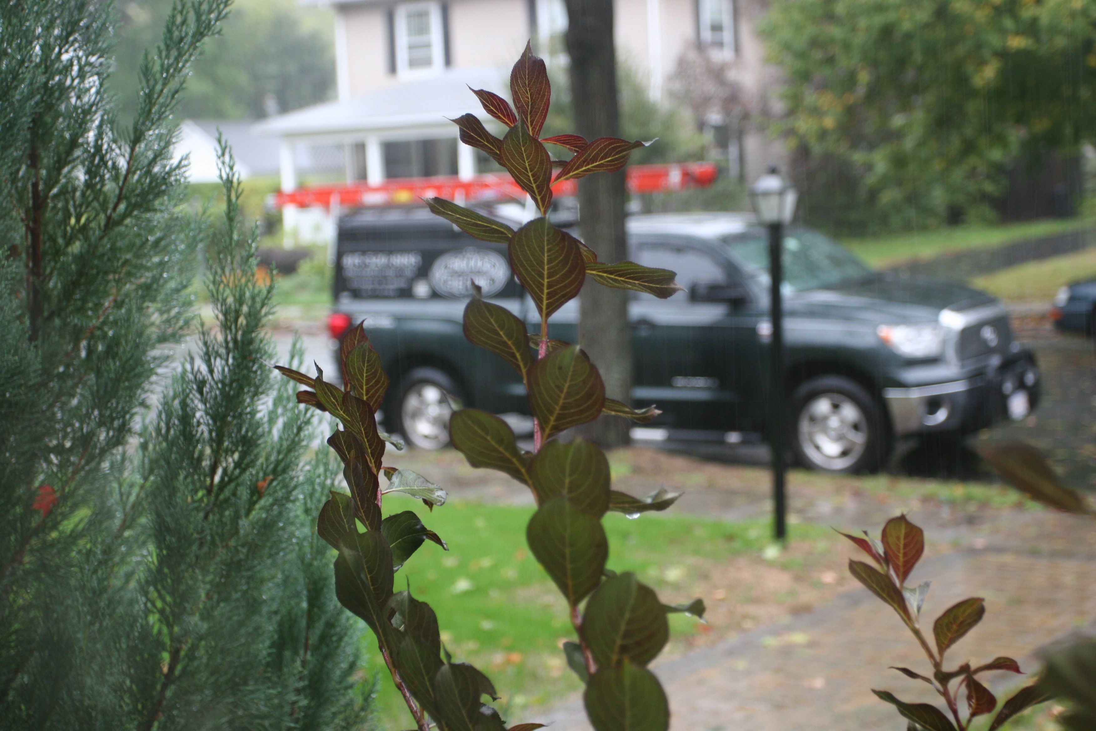 Beauty shot: Osgood Electric truck behind the rain-soaked shrubbery.