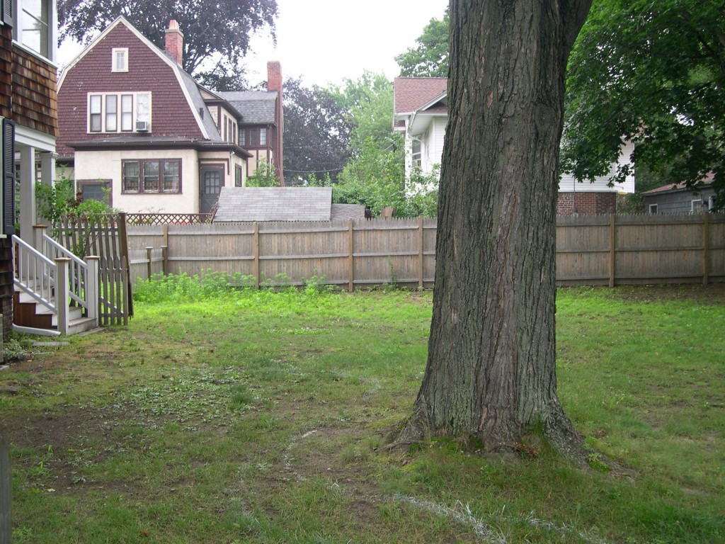 The following summer (a year and a half after we moved in), this was how our yard looked (sans three maples).