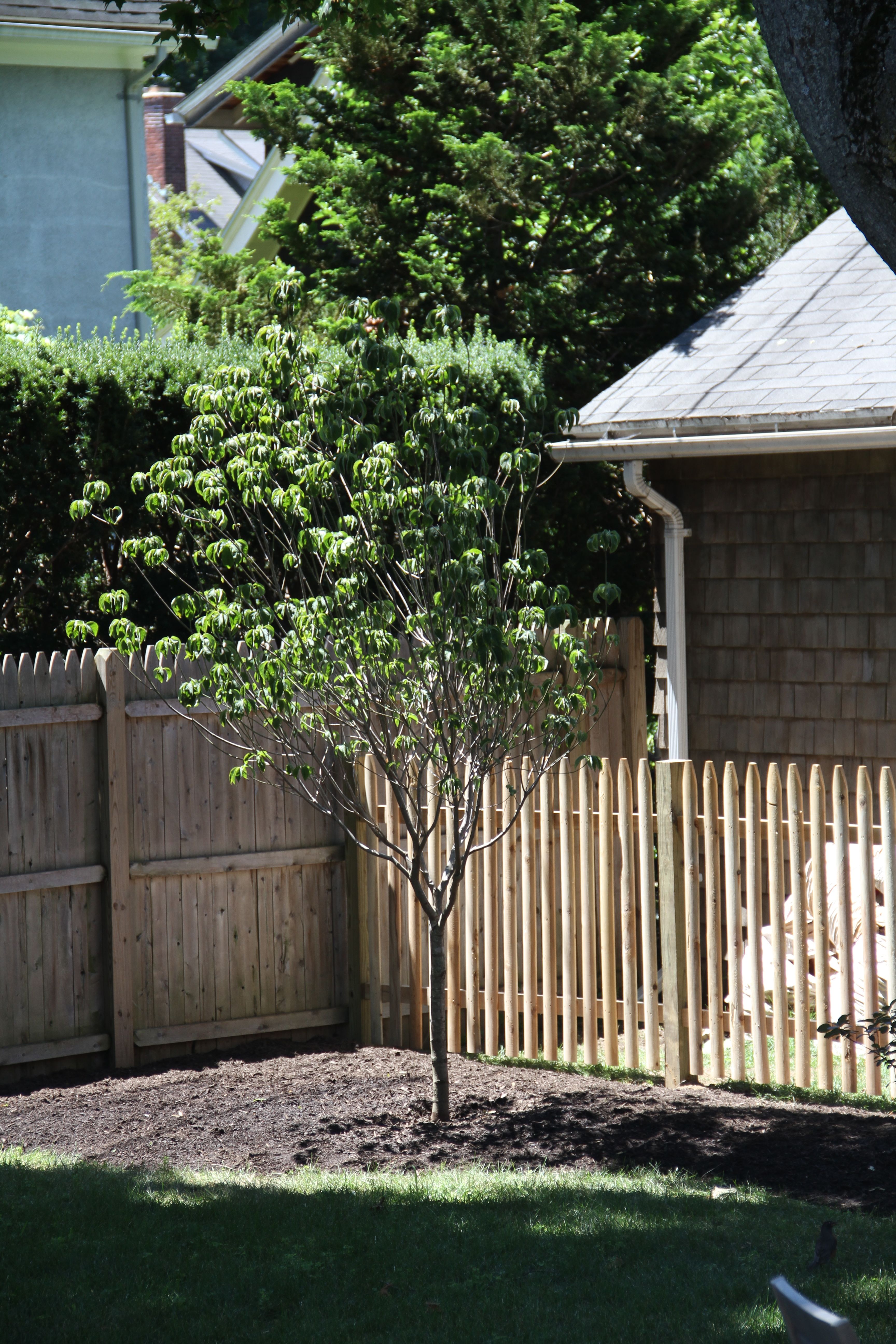 The fence really helps to set it apart from the piles of composting ingredients.