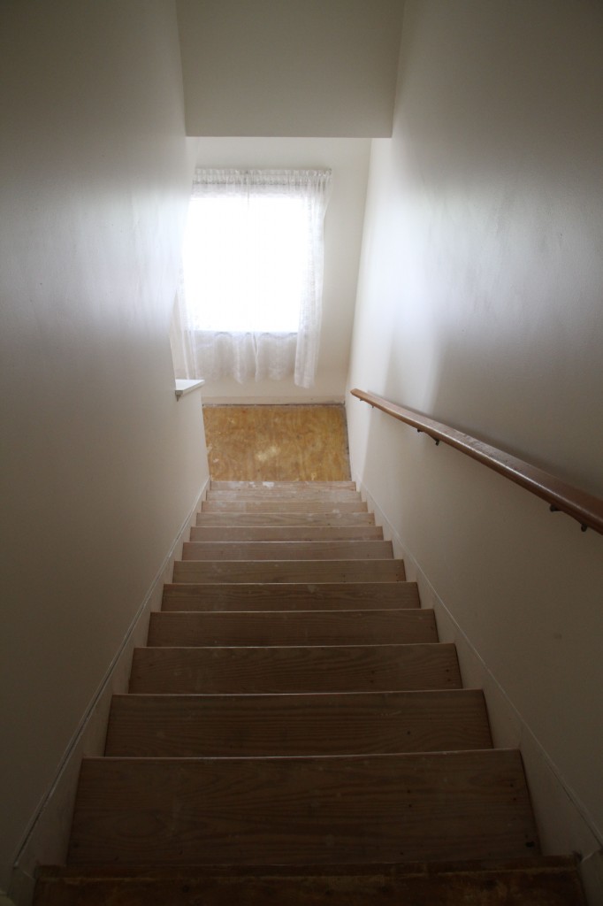 We were pleased to discover that the staircase had actual treads and risers underneath that gross carpeting.