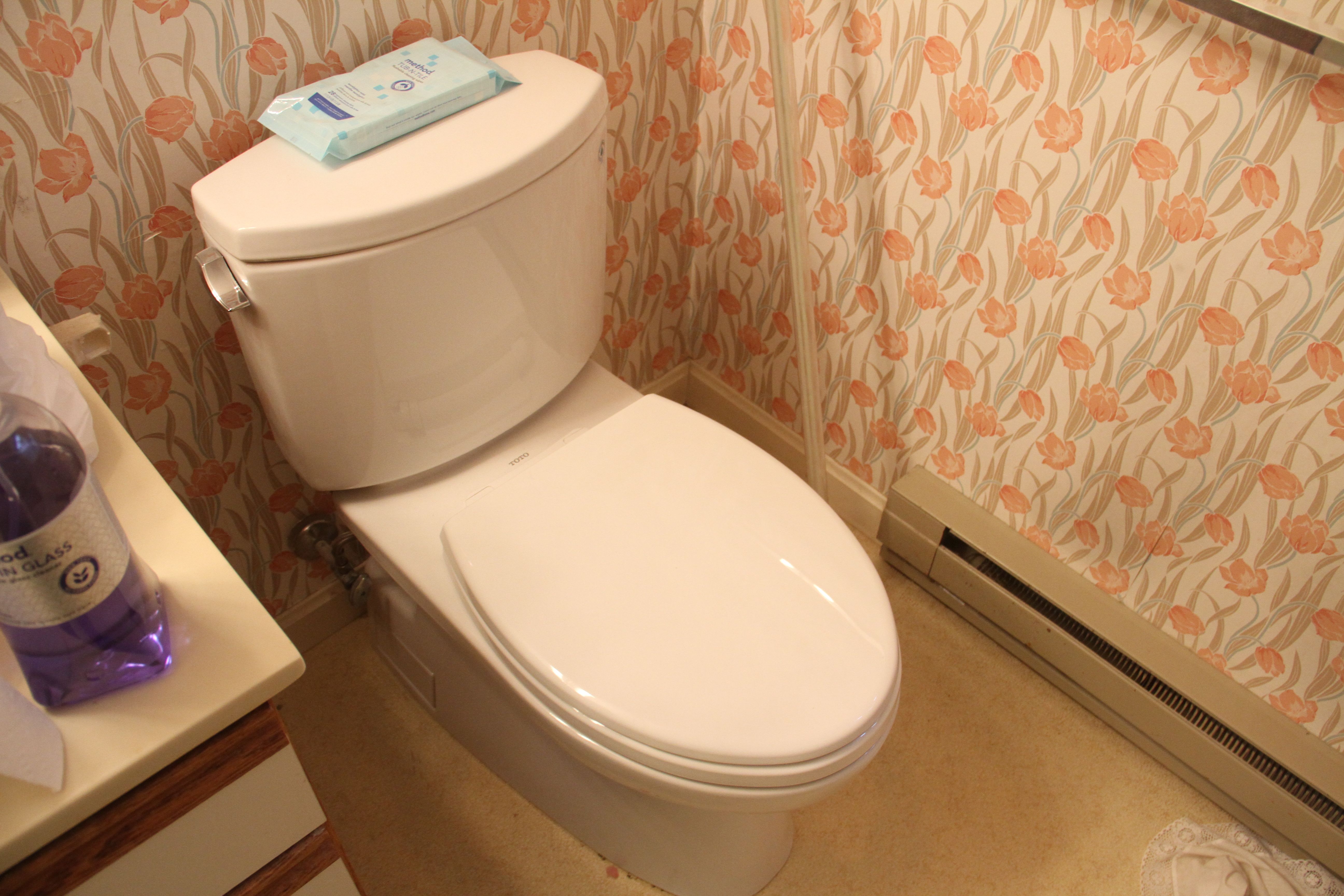 Did I ever show you pictures of the toilet that Jeff installed? Tah-dah!