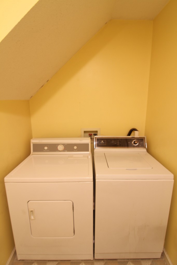 BEFORE: Laundry facilities, leak (and hidden mold) included.