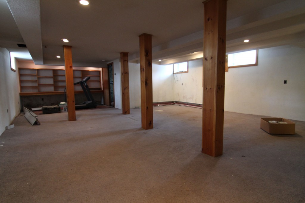BEFORE: Ok, this is how the basement should *really* look.