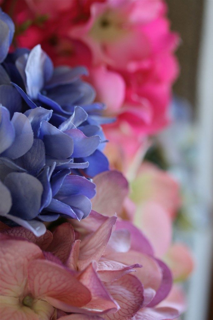 Fake or not, these ruffled edges, saturated and variegated colors scream summertime to me.