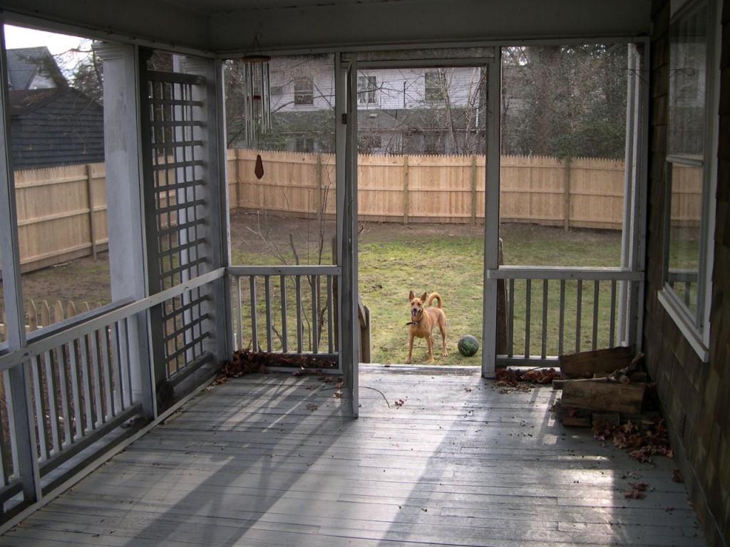 Major BEFORE: Back when we bought the house (and our sweet pup was just getting to know the place that would be her forever home) this was what the porch looked like. We've since had it rebuilt, re-supported, re-re-staired (yep, twice), and now re-stained. Phew.
