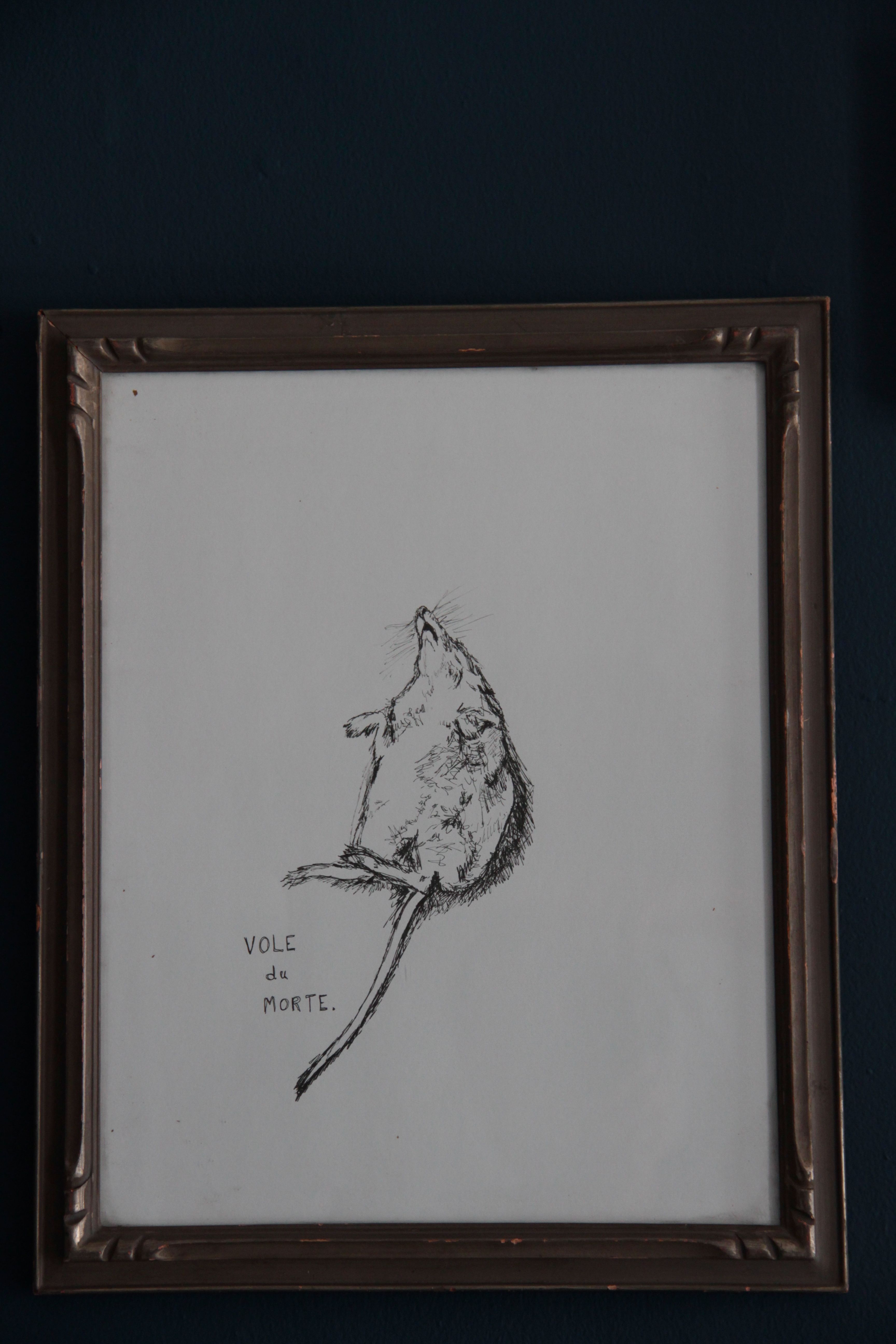 I drew this from a picture I took of a dead rodent in Massachusetts. I found the animal kind of beautiful in its gruesome end. I don't think it's actually a vole, but the pun was too funny not to include. Vintage frame.