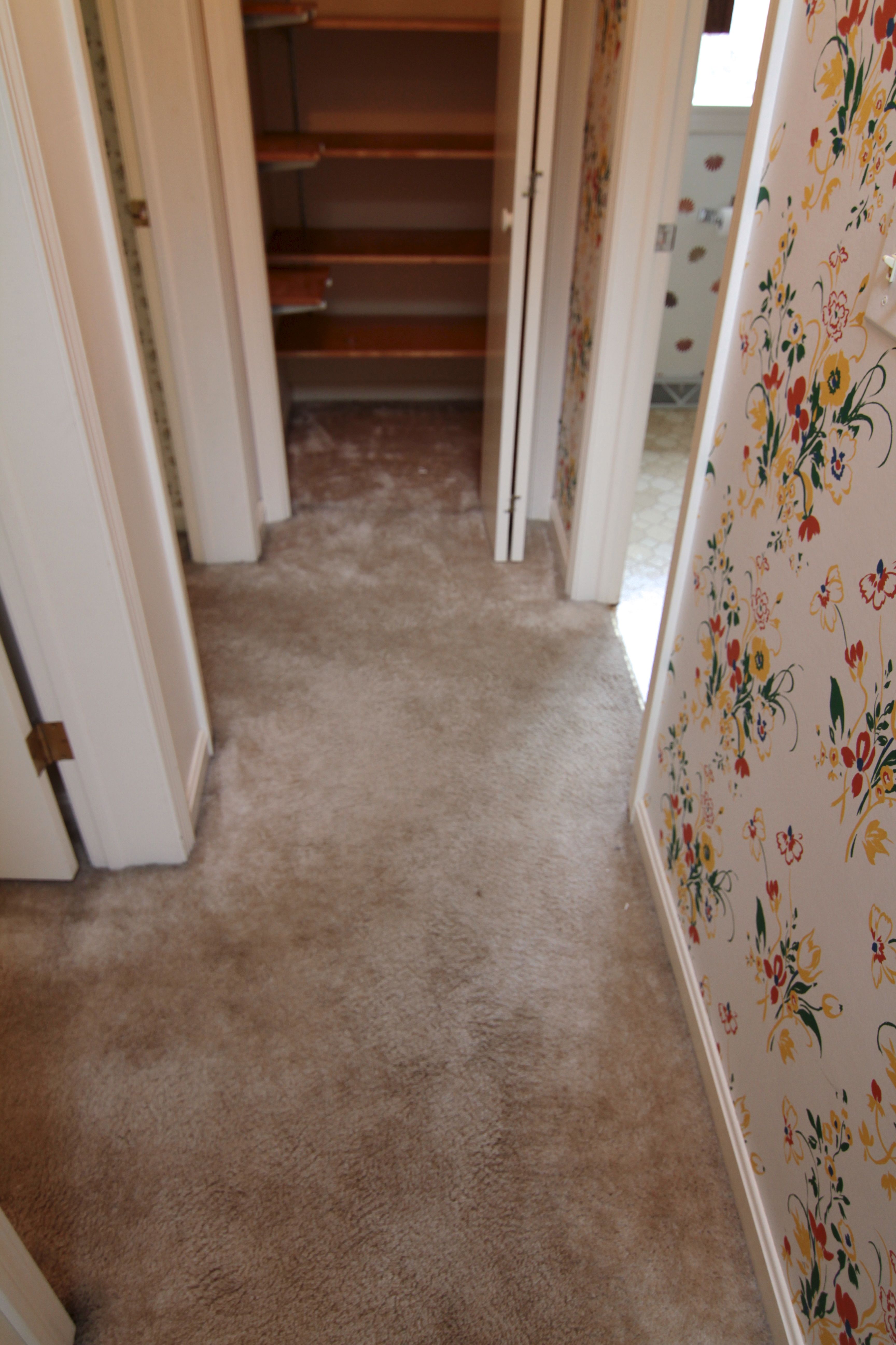 BEFORE: Carpet, wallpaper, old, gross.